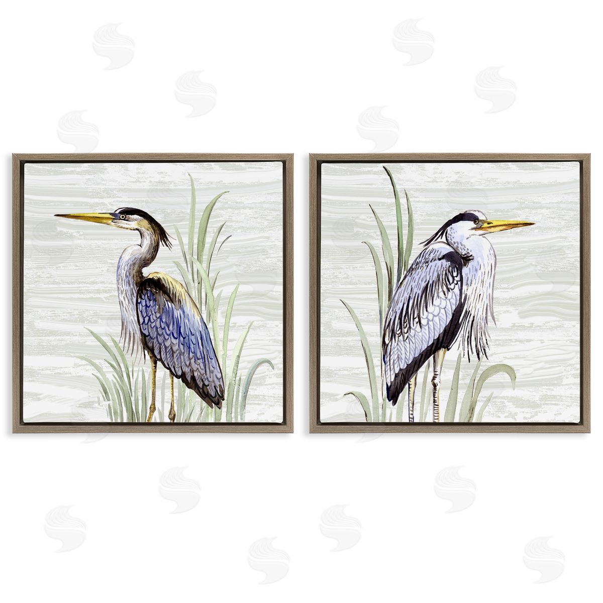 Elena Vladykina Coastal Birds on Birch Brown Floating Frame Canvas Wall Art Print