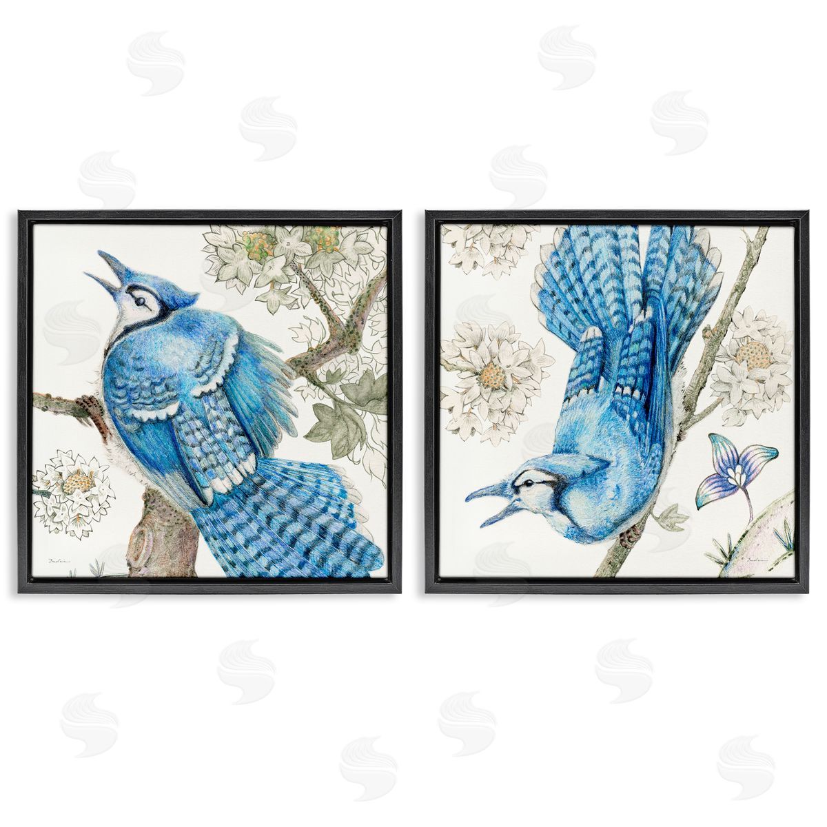 Blue Jays with White Blossoms Black Floating Frame Canvas Wall Art, Home Decor by Evelia Designs
