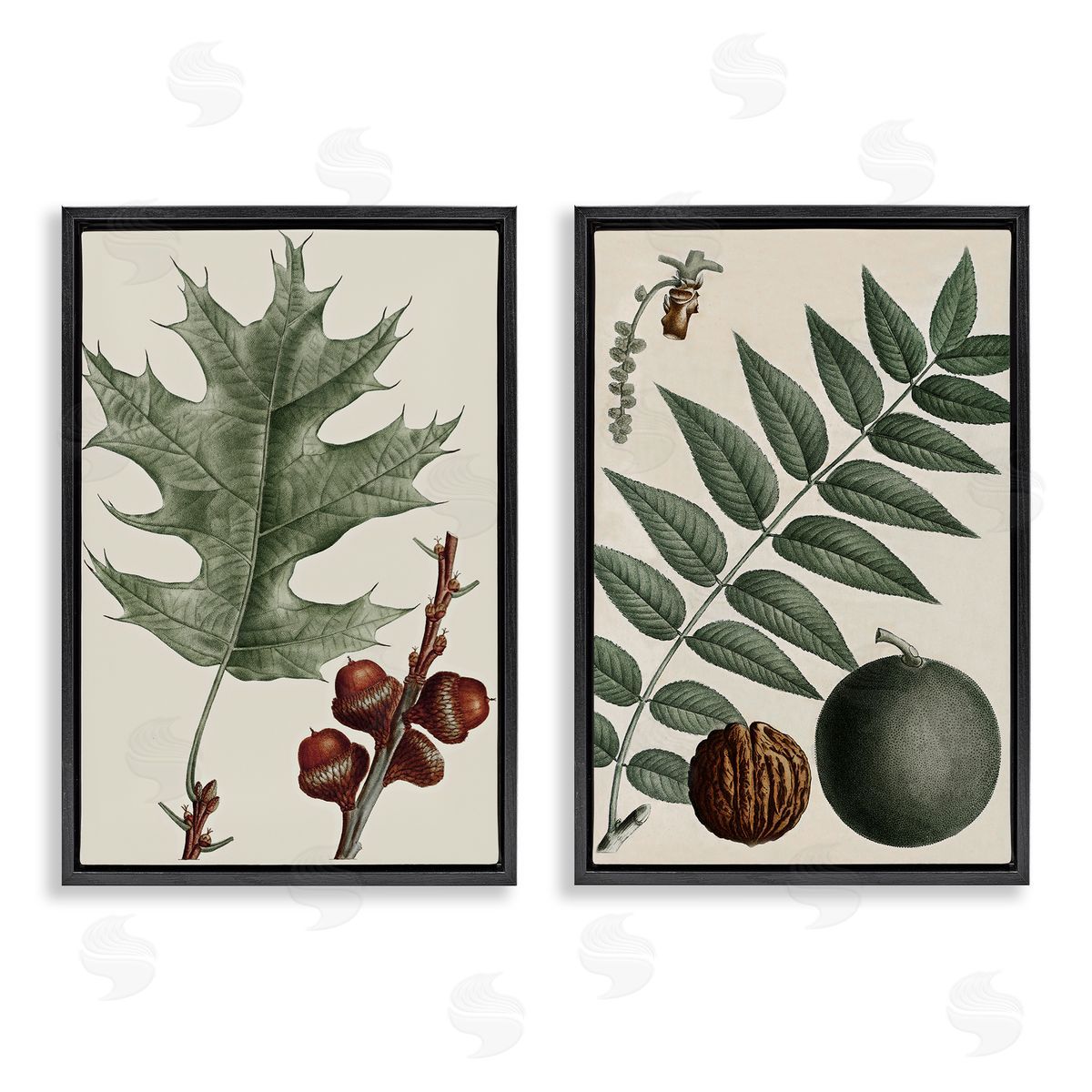 Tree Leaves & Nuts Black Floating Frame Canvas Wall Art, Home Decor by Graffi*tee Studios