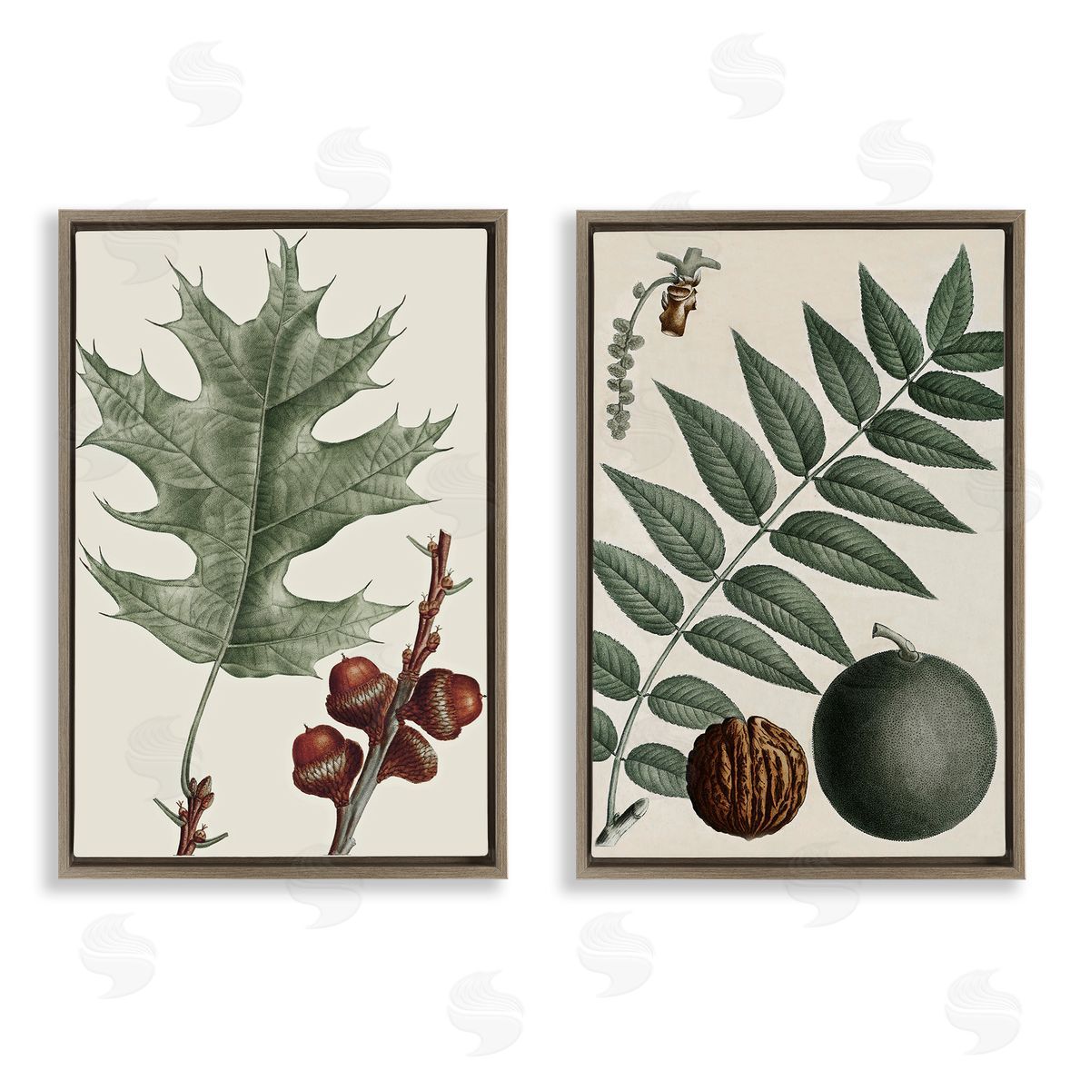 Tree Leaves & Nuts Brown Floating Frame Canvas Wall Art, Home Decor by Graffi*tee Studios