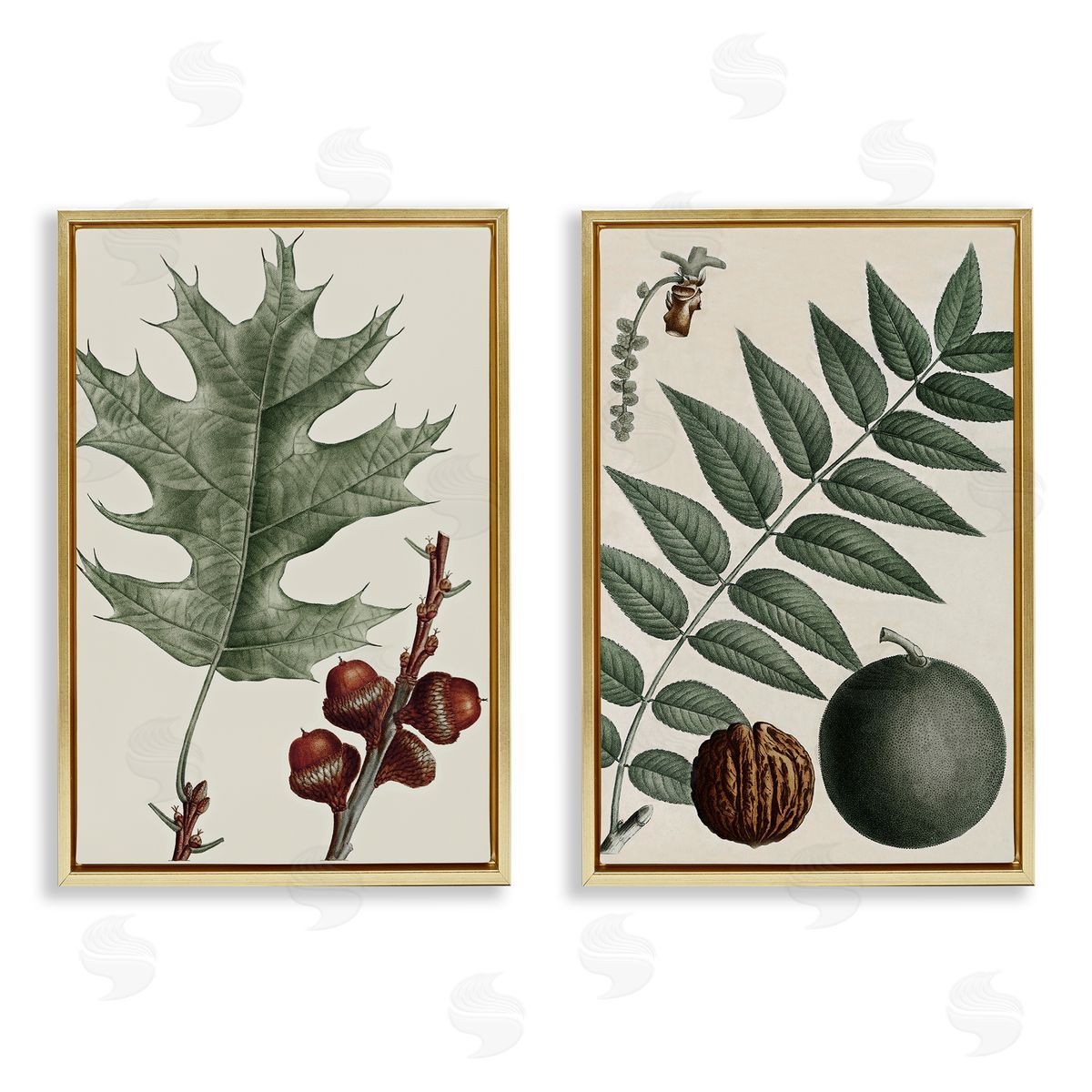 Tree Leaves & Nuts Gold Floating Frame Canvas Wall Art, Home Decor by Graffi*tee Studios