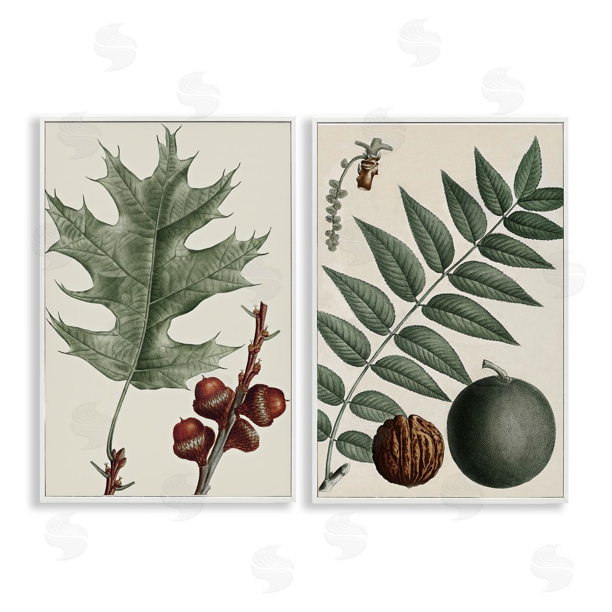 Tree Leaves & Nuts White Frame Print Wall Art, Home Decor by Graffi*tee Studios