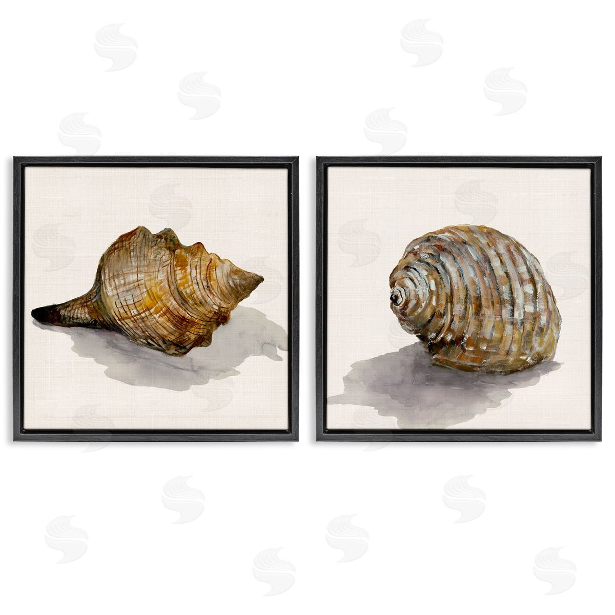 Neutral Beach Shells Black Floating Frame Canvas Wall Art, Home Decor by Jacob Q
