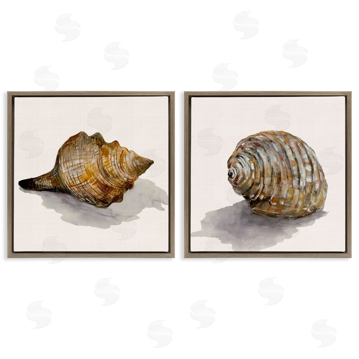 Neutral Beach Shells Brown Floating Frame Canvas Wall Art, Home Decor by Jacob Q