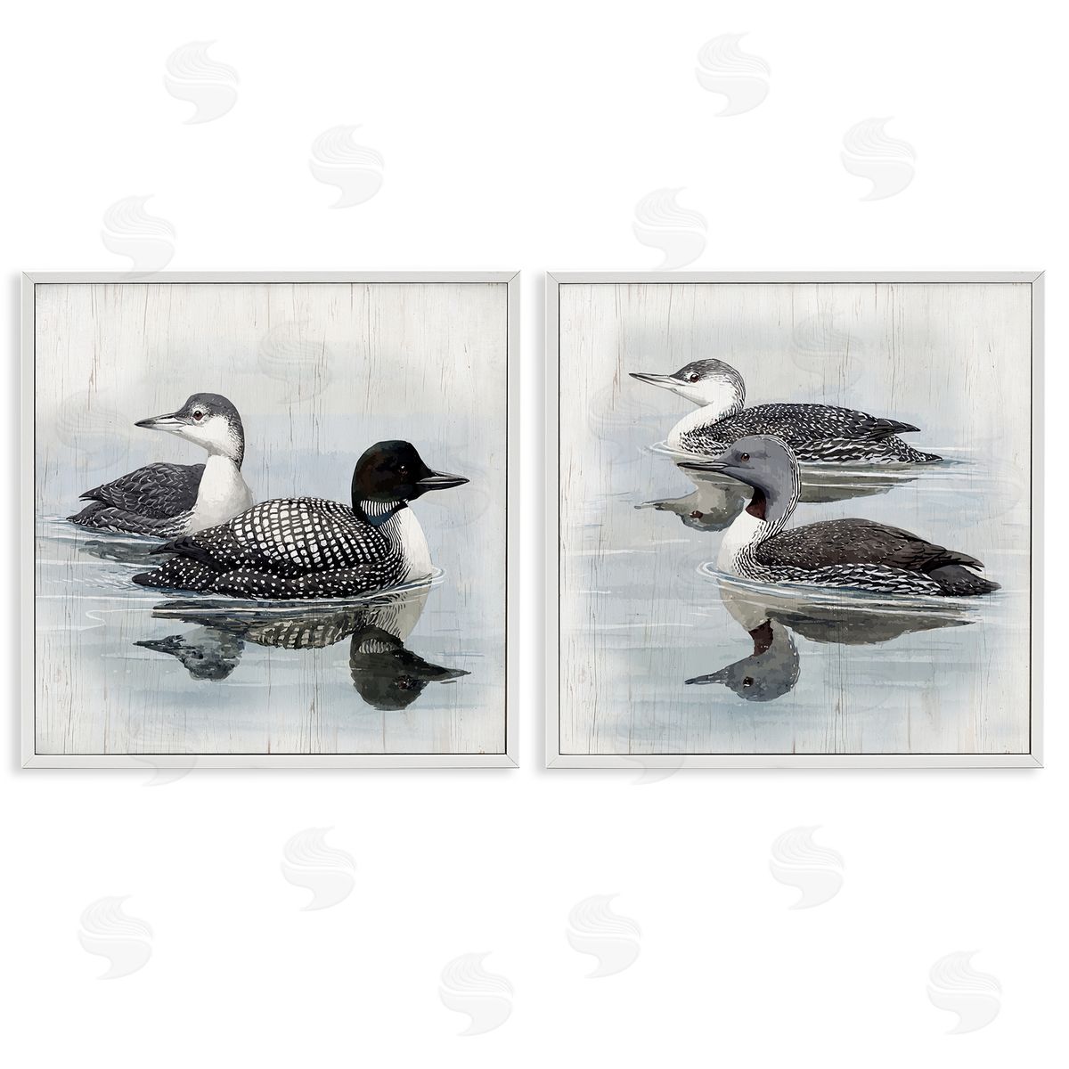 Four Loons in Lake White Frame Print Wall Art, Home Decor by Susan Jill