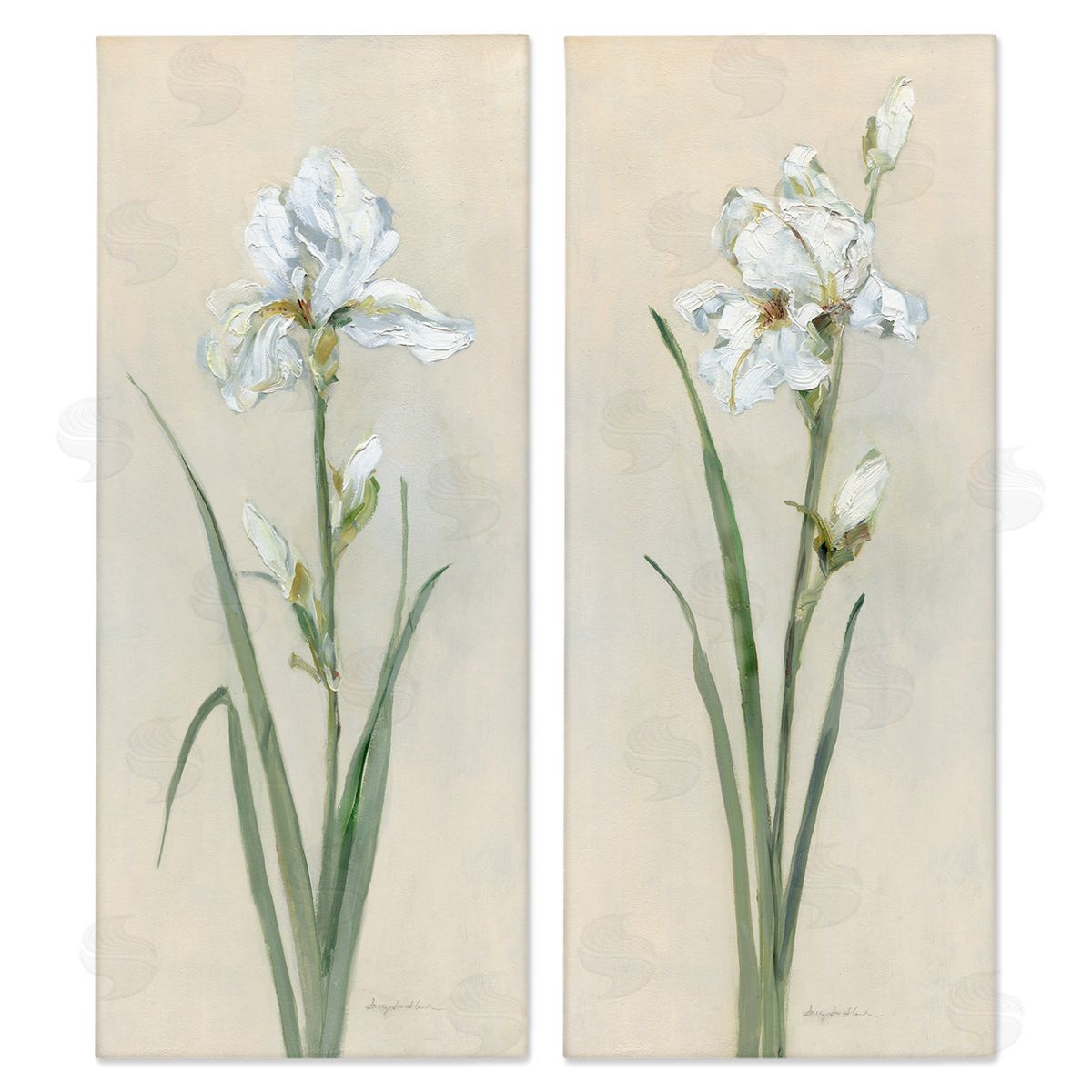 White Irises Traditional Canvas Wall Art, Home Decor by Sally Swatland