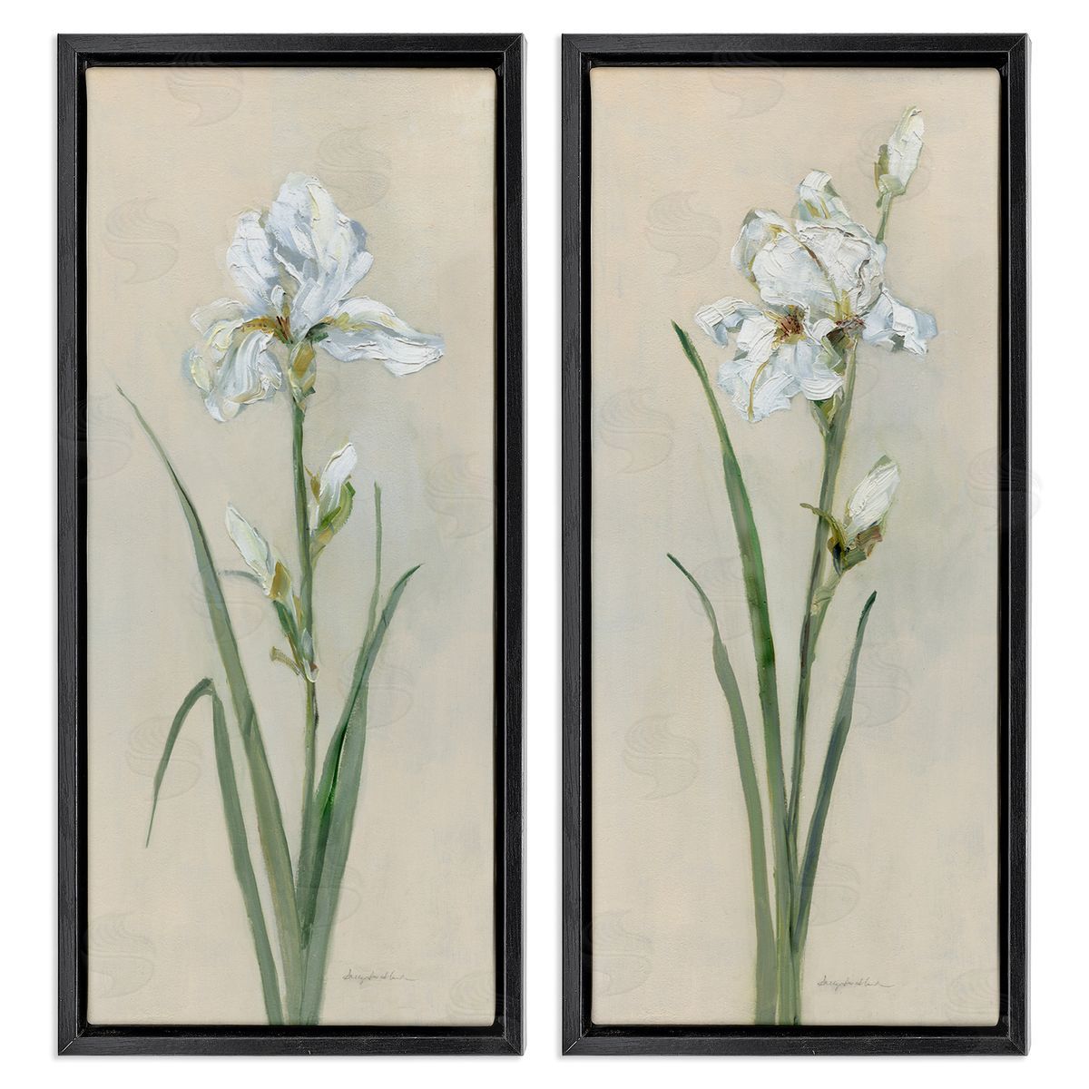 White Irises Traditional Black Floating Frame Canvas Wall Art, Home Decor by Sally Swatland