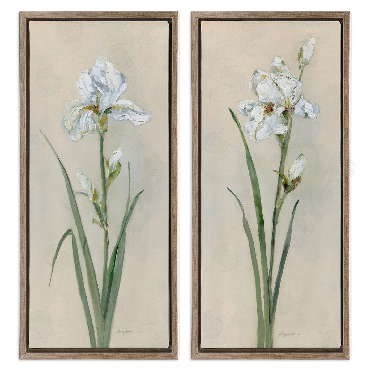 White Irises Traditional Brown Floating Frame Canvas Wall Art, Home Decor by Sally Swatland