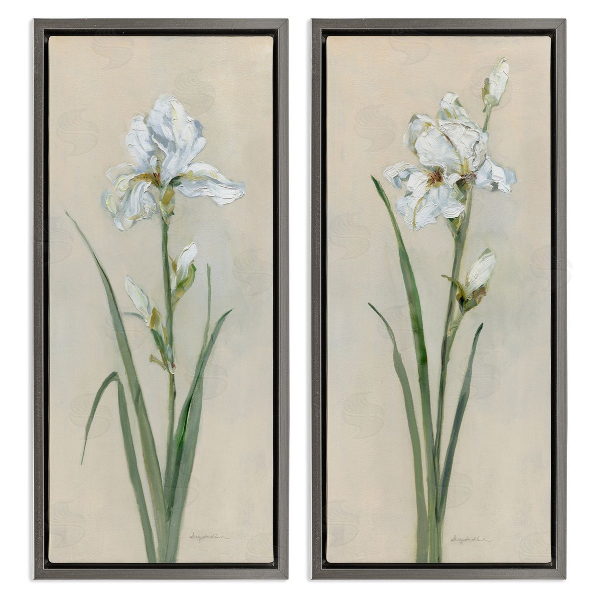 White Irises Traditional Grey Floating Frame Canvas Wall Art, Home Decor by Sally Swatland