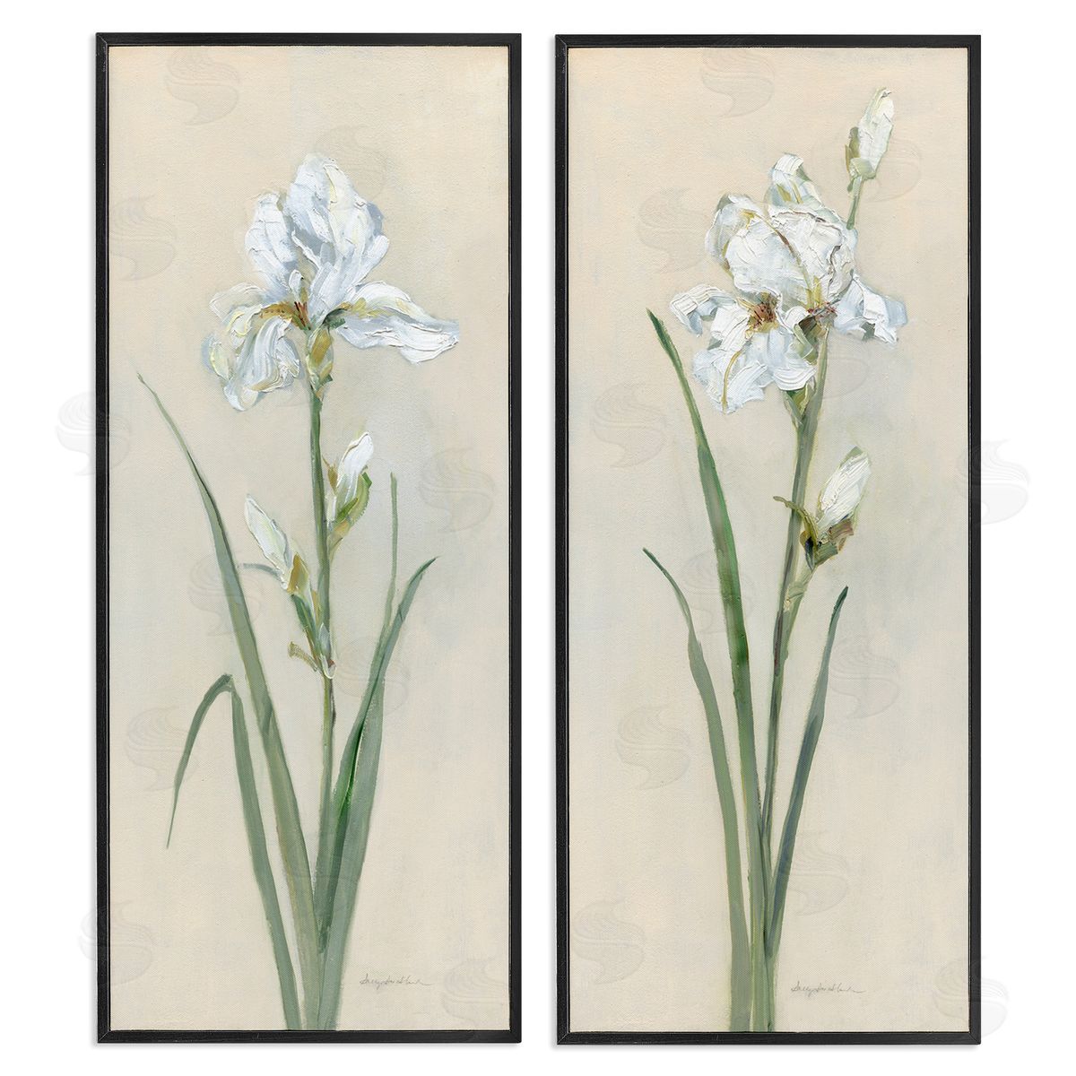 White Irises Traditional Black Frame Print Wall Art, Home Decor by Sally Swatland