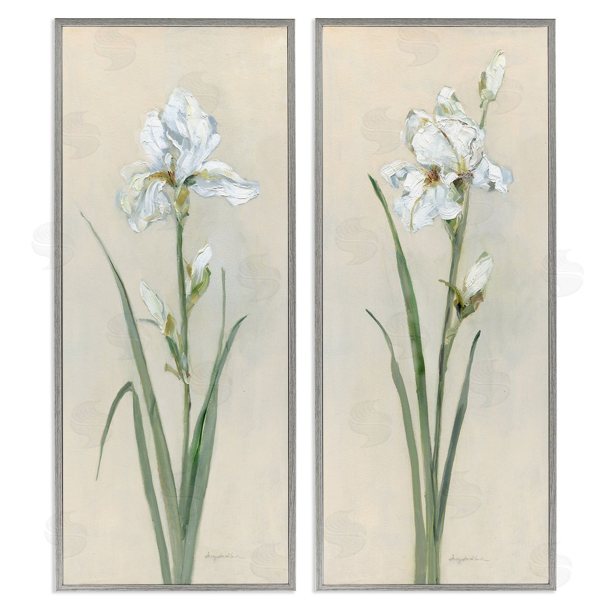 White Irises Traditional Grey Frame Print Wall Art, Home Decor by Sally Swatland
