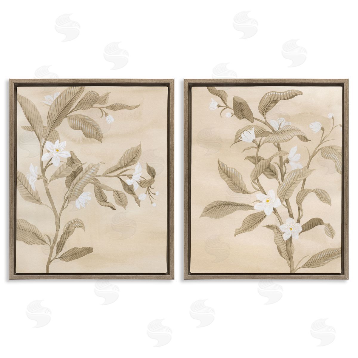 White Daffodils Budding Brown Floating Frame Canvas Wall Art, Home Decor by Grace Popp