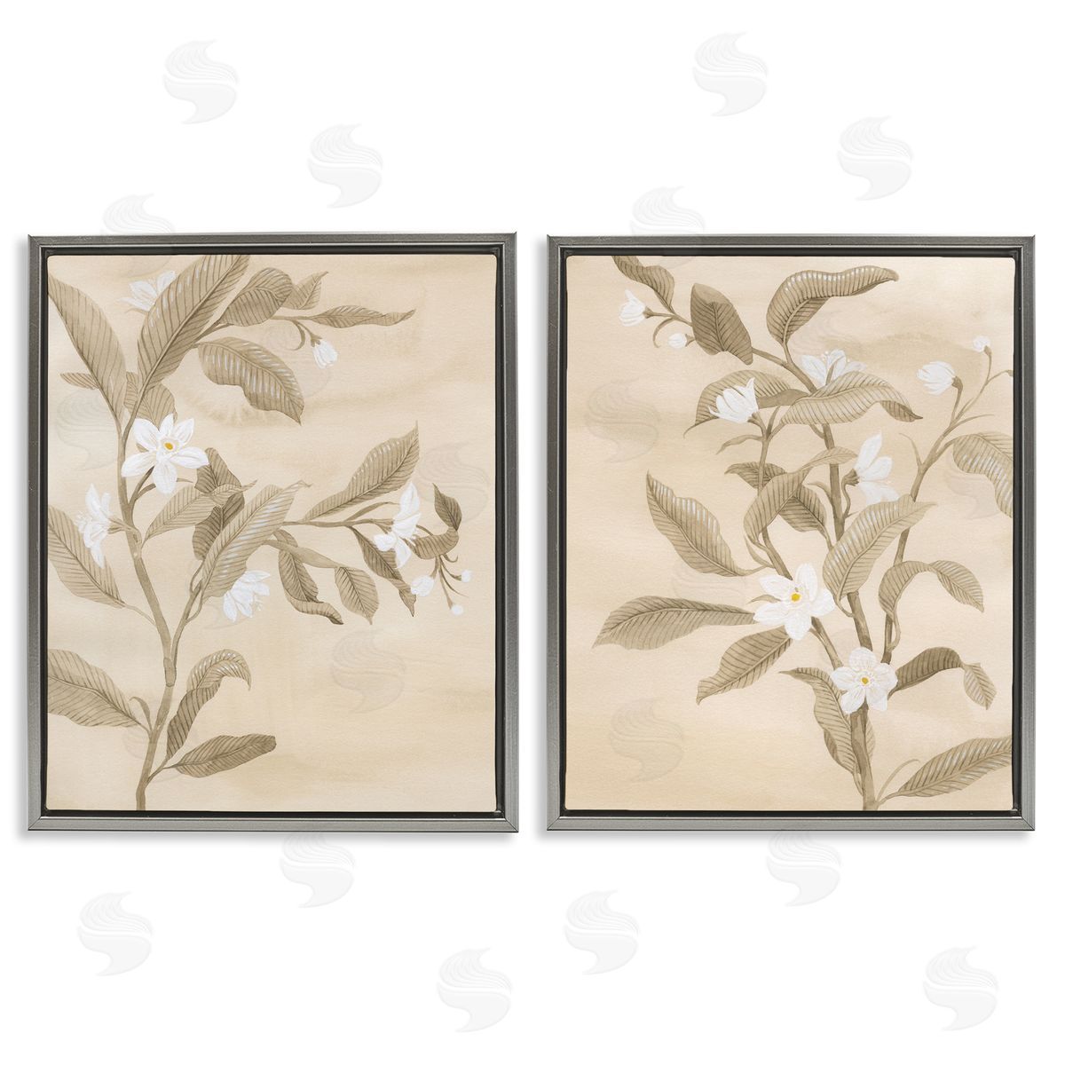 White Daffodils Budding Grey Floating Frame Canvas Wall Art, Home Decor by Grace Popp