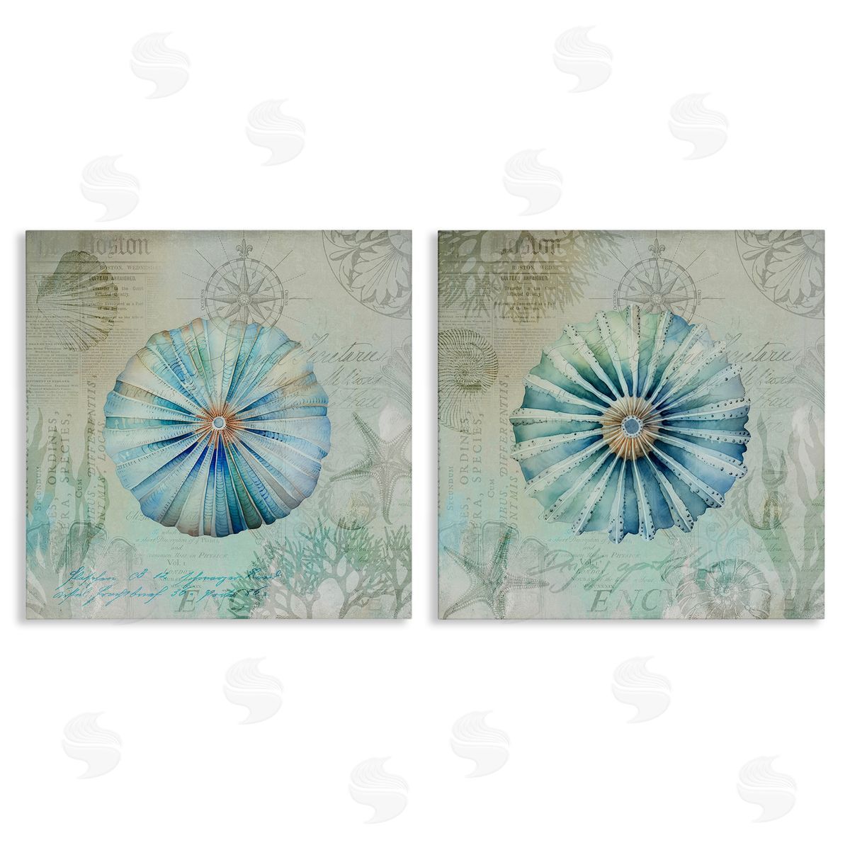 Vintage Blue Sea Urchins Canvas Wall Art, Home Decor by Andrea Haase