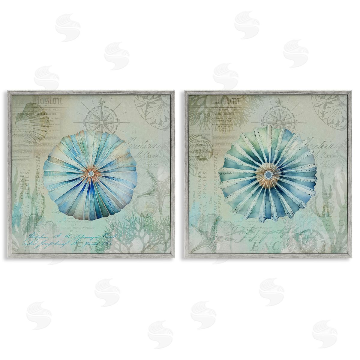 Vintage Blue Sea Urchins Grey Frame Print Wall Art, Home Decor by Andrea Haase