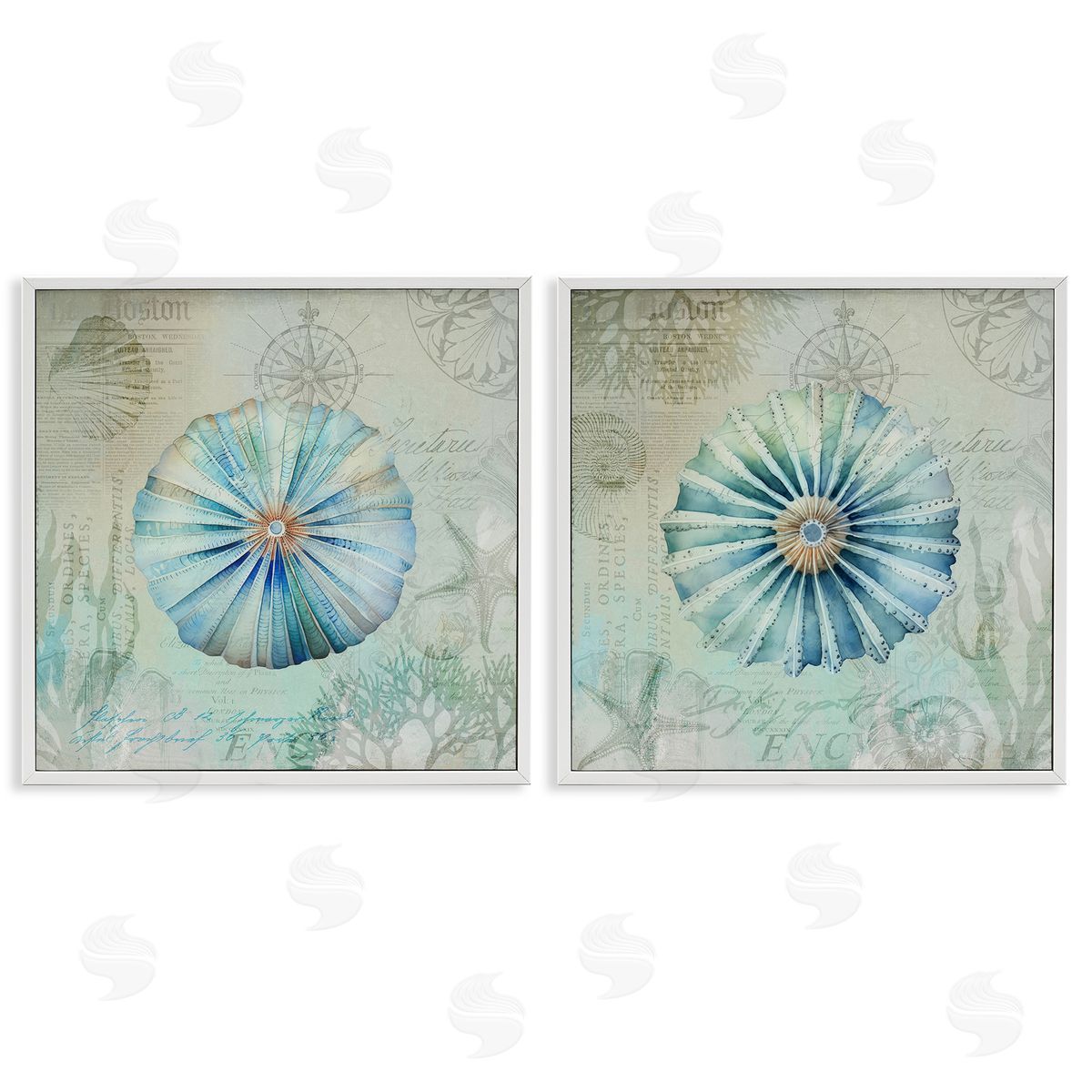 Vintage Blue Sea Urchins White Frame Print Wall Art, Home Decor by Andrea Haase