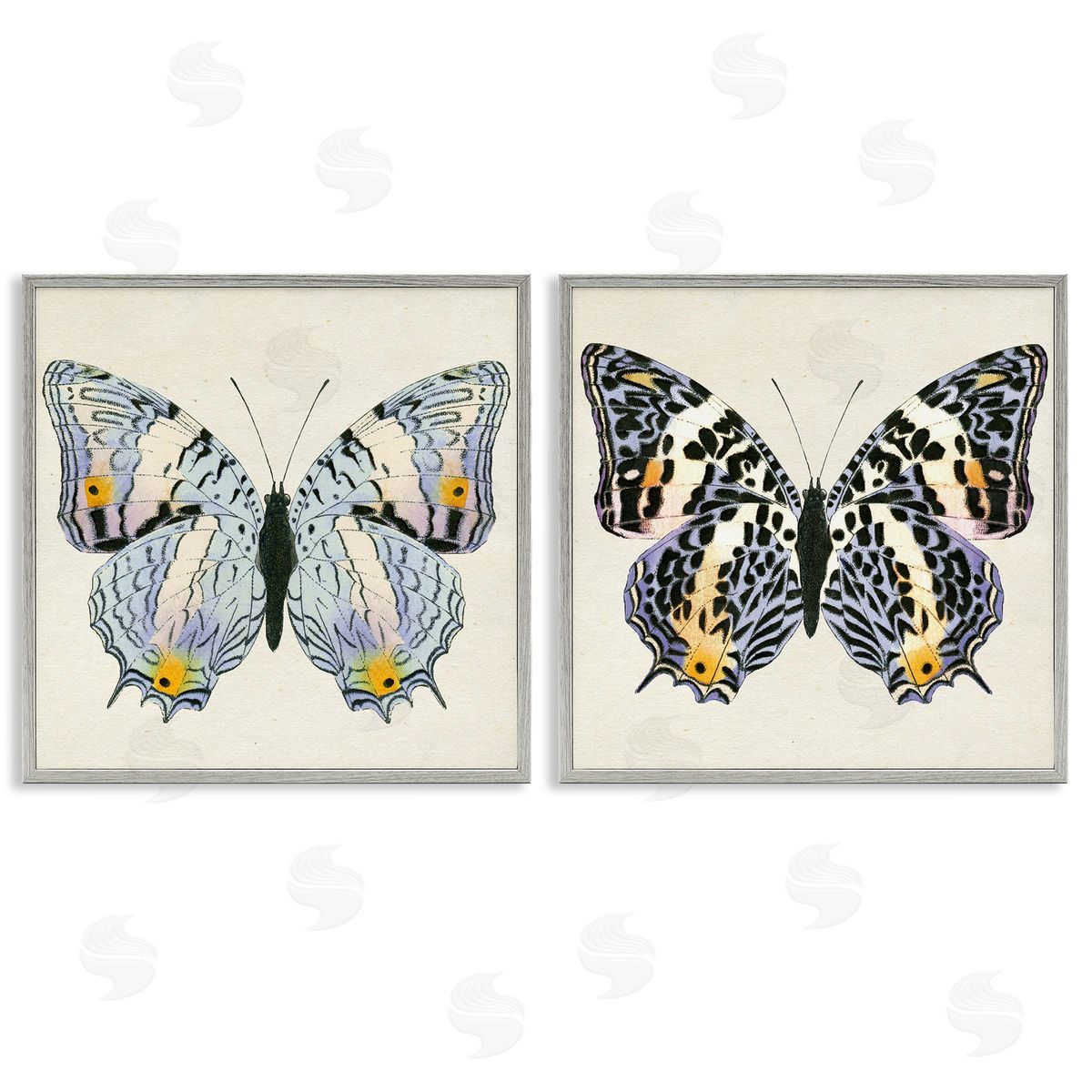 Butterflies with Yellow Details Grey Frame Print Wall Art, Home Decor by Susan Arnot