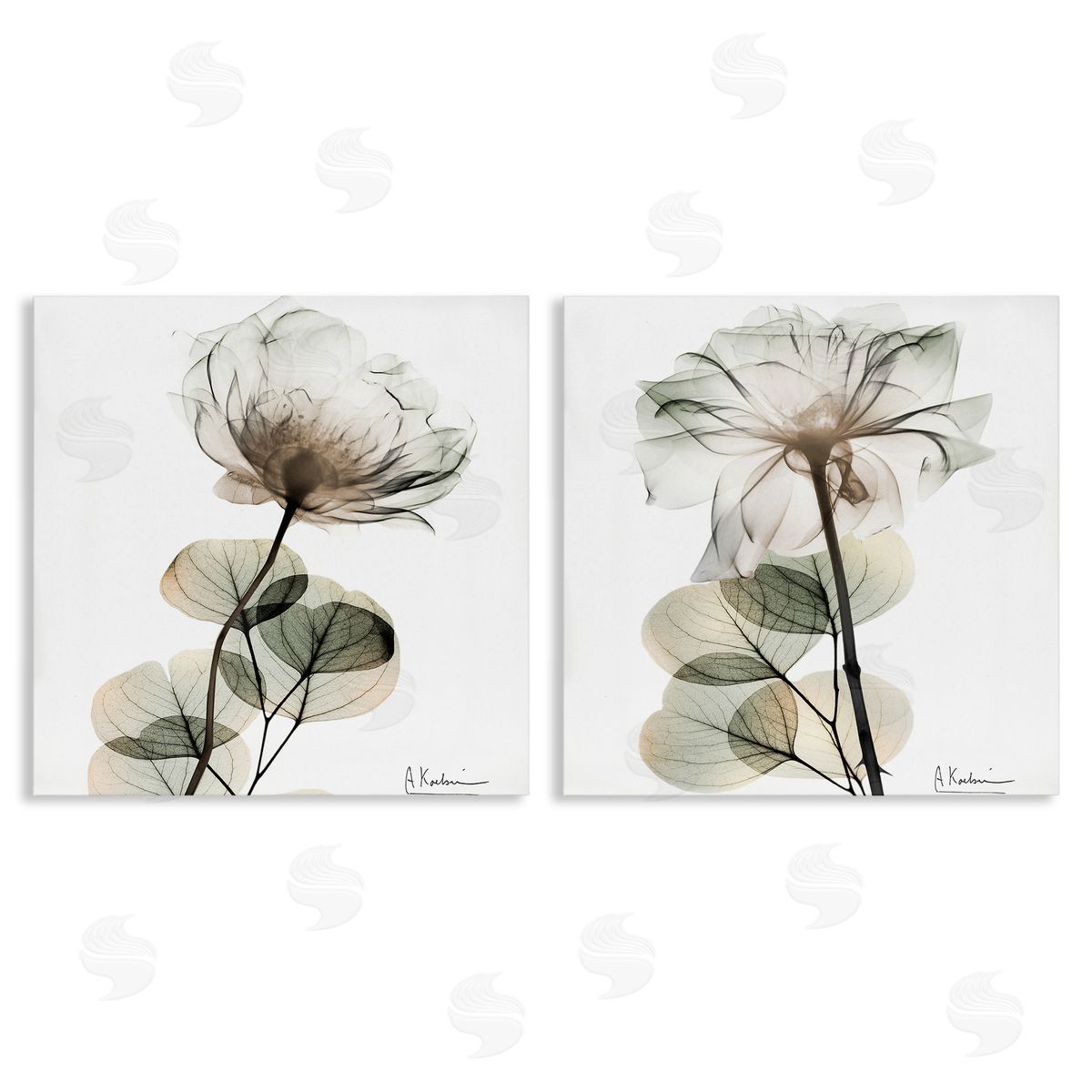 Cream Transparent Floral Canvas Wall Art, Home Decor by Albert Koetsier