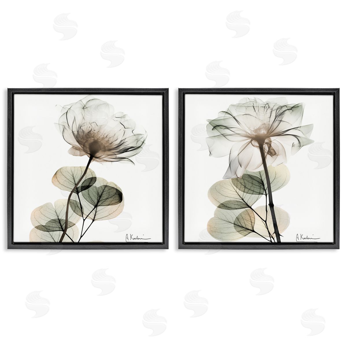 Cream Transparent Floral Black Floating Frame Canvas Wall Art, Home Decor by Albert Koetsier