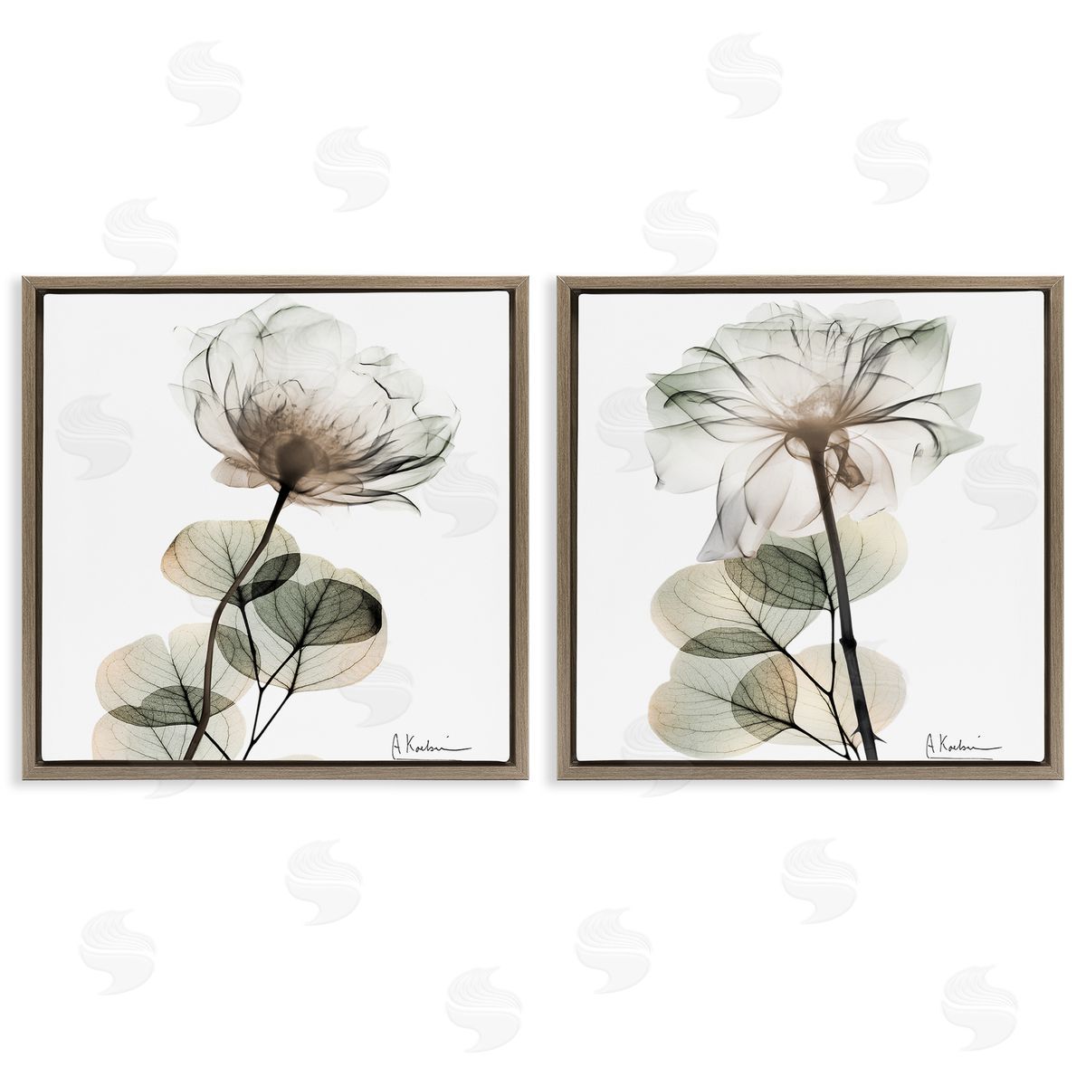 Cream Transparent Floral Brown Floating Frame Canvas Wall Art, Home Decor by Albert Koetsier