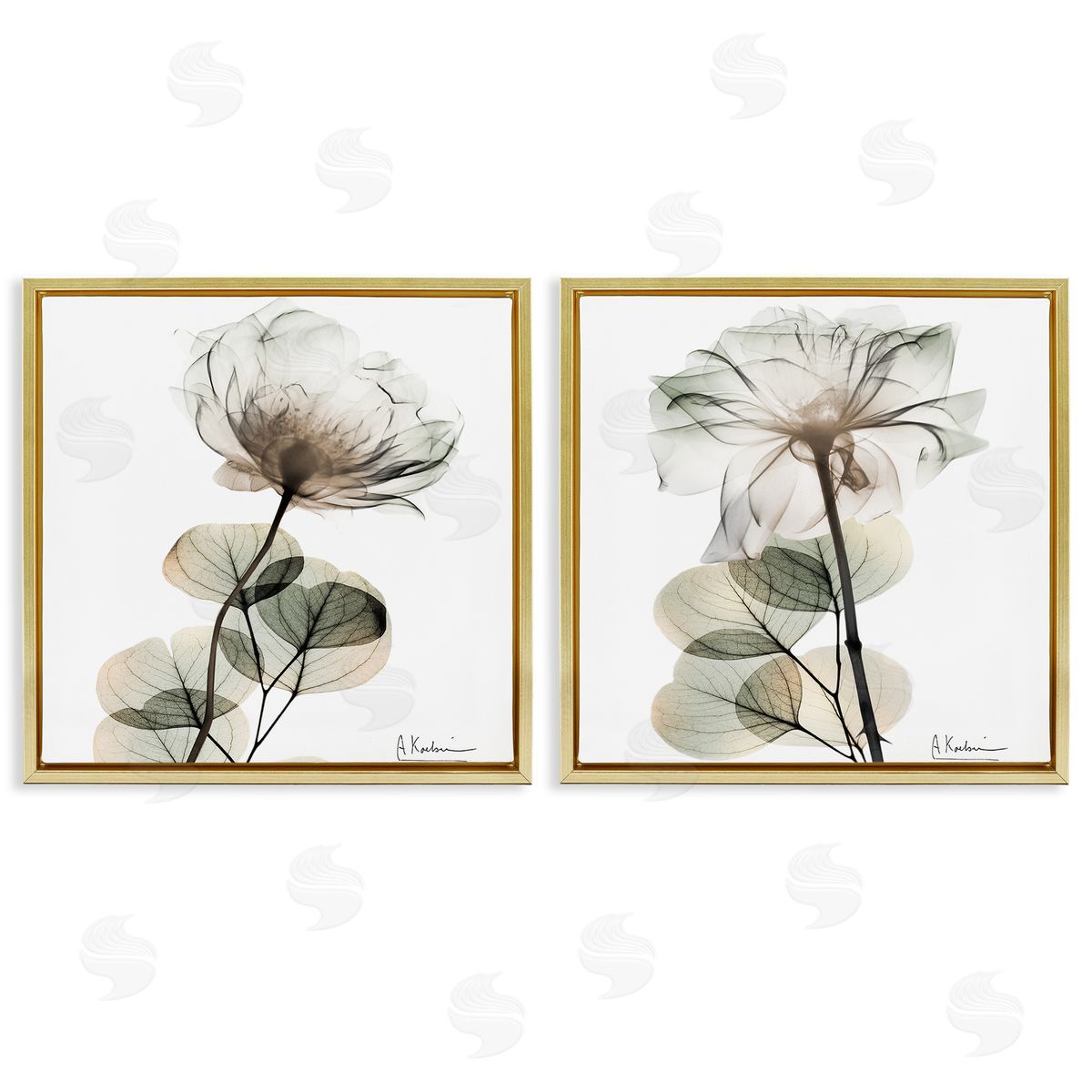 Cream Transparent Floral Gold Floating Frame Canvas Wall Art, Home Decor by Albert Koetsier