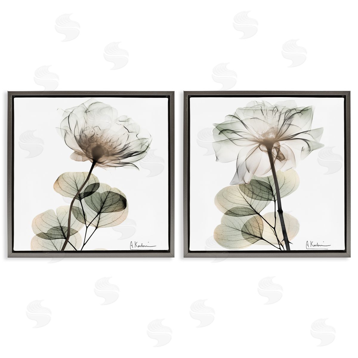 Cream Transparent Floral Grey Floating Frame Canvas Wall Art, Home Decor by Albert Koetsier