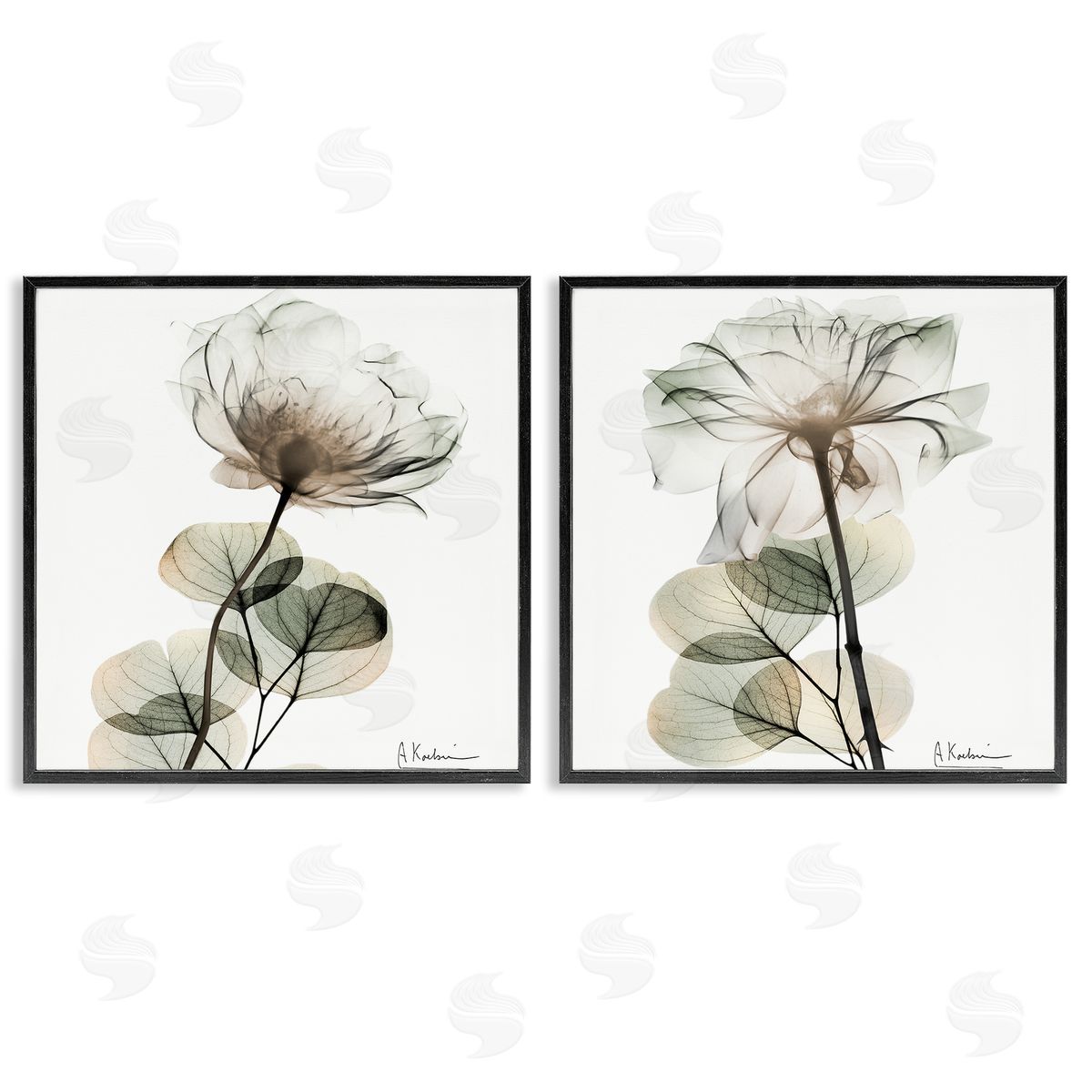 Cream Transparent Floral Black Frame Print Wall Art, Home Decor by Albert Koetsier