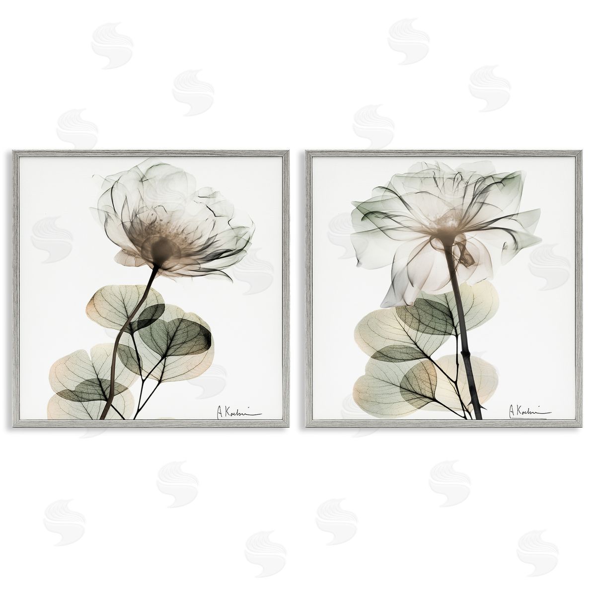 Cream Transparent Floral Grey Frame Print Wall Art, Home Decor by Albert Koetsier