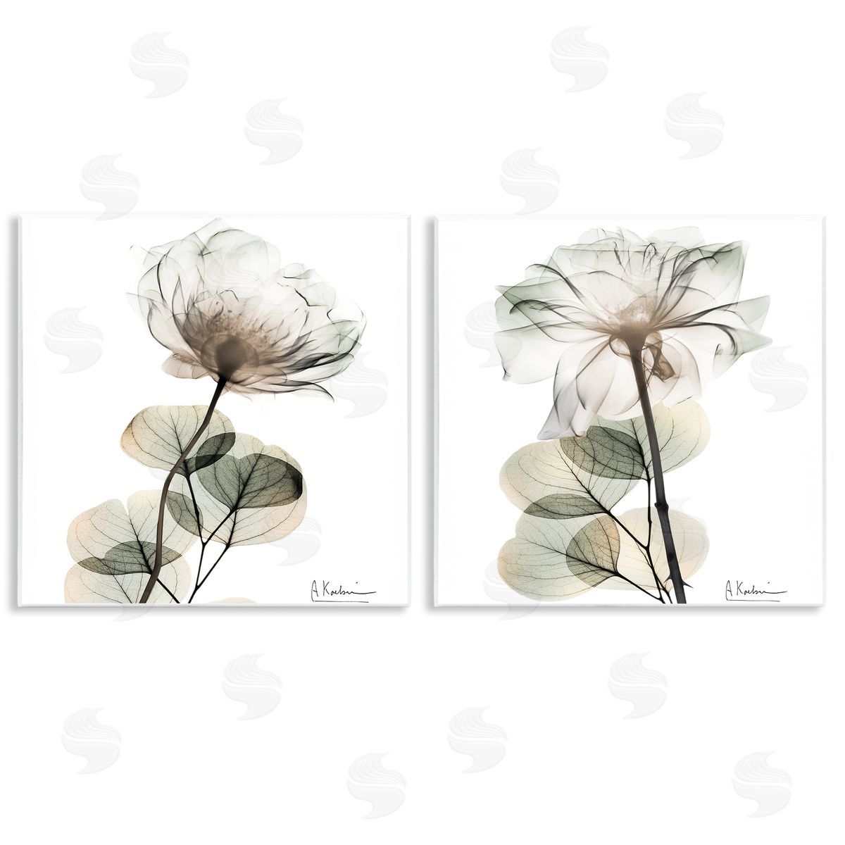 Cream Transparent Floral Wood Plaque Wall Art, Home Decor by Albert Koetsier