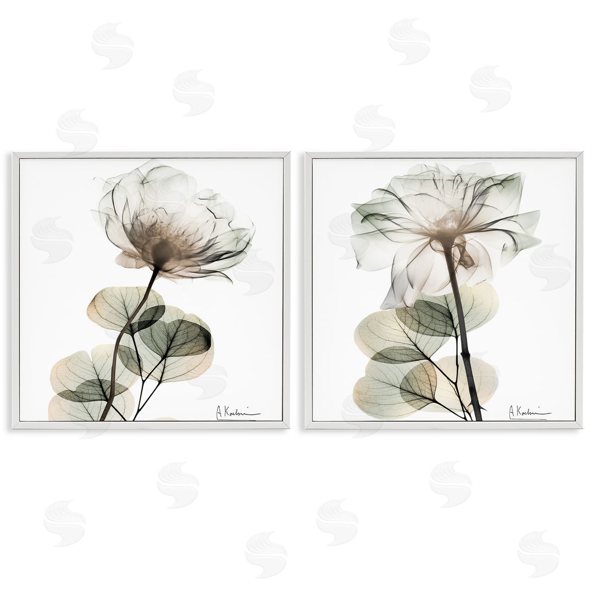 Cream Transparent Floral White Frame Print Wall Art, Home Decor by Albert Koetsier