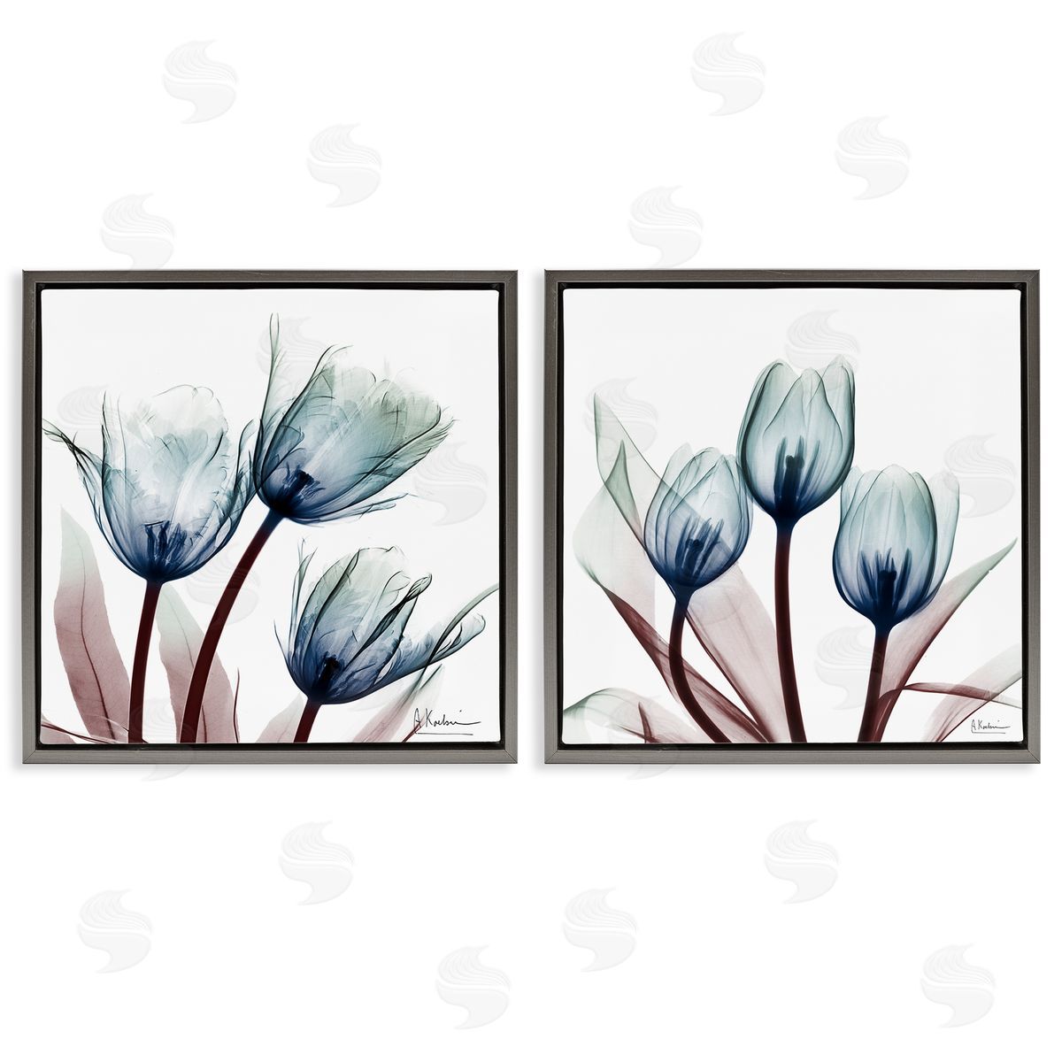 Vibrant Blue Tulips Grey Floating Frame Canvas Wall Art, Home Decor by Albert Koetsier