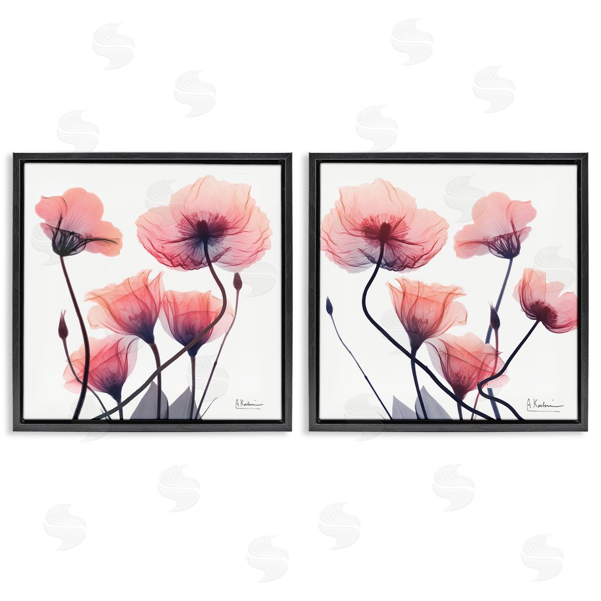 Various Faded Pink Flowers Black Floating Frame Canvas Wall Art, Home Decor by Albert Koetsier