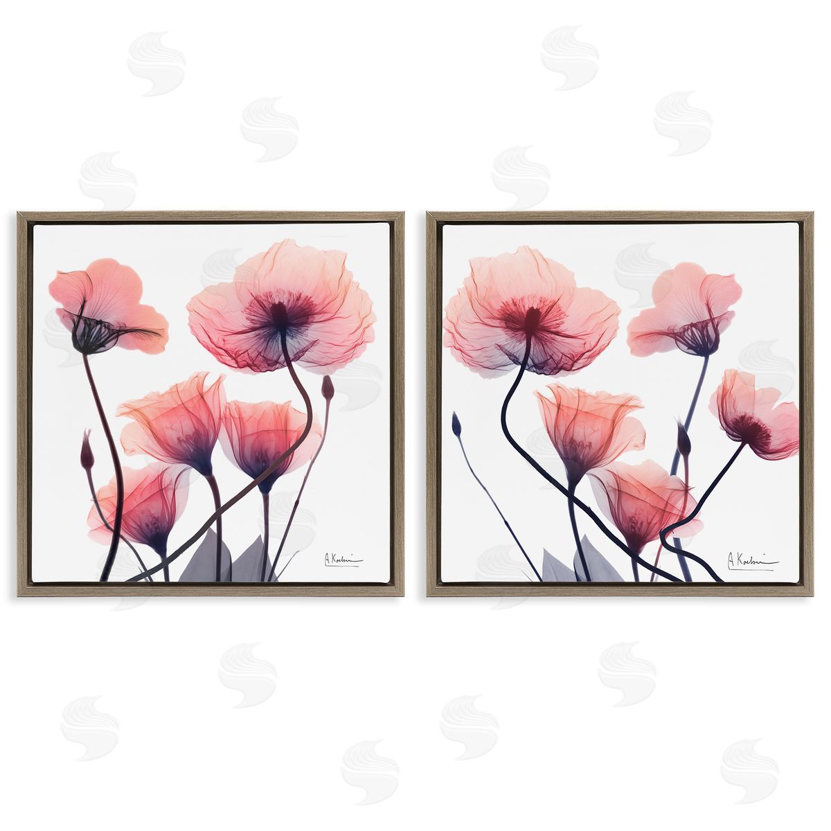 Various Faded Pink Flowers Brown Floating Frame Canvas Wall Art, Home Decor by Albert Koetsier