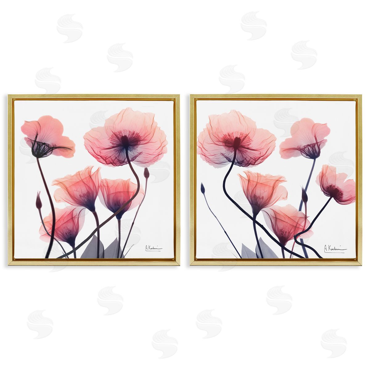 Various Faded Pink Flowers Gold Floating Frame Canvas Wall Art, Home Decor by Albert Koetsier