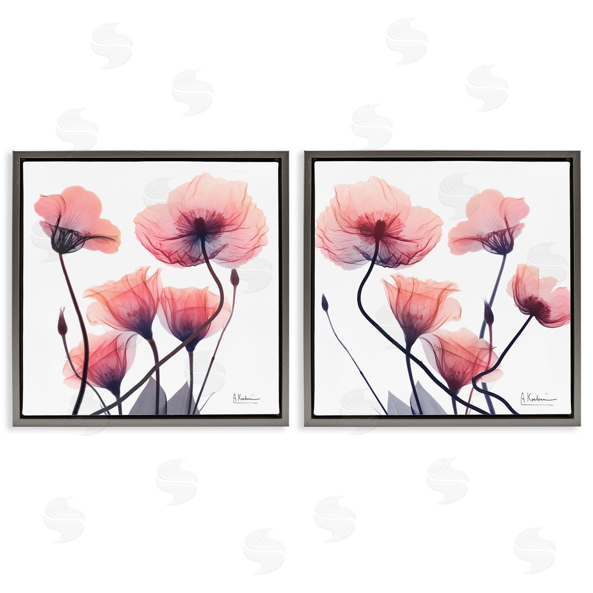 Various Faded Pink Flowers Grey Floating Frame Canvas Wall Art, Home Decor by Albert Koetsier