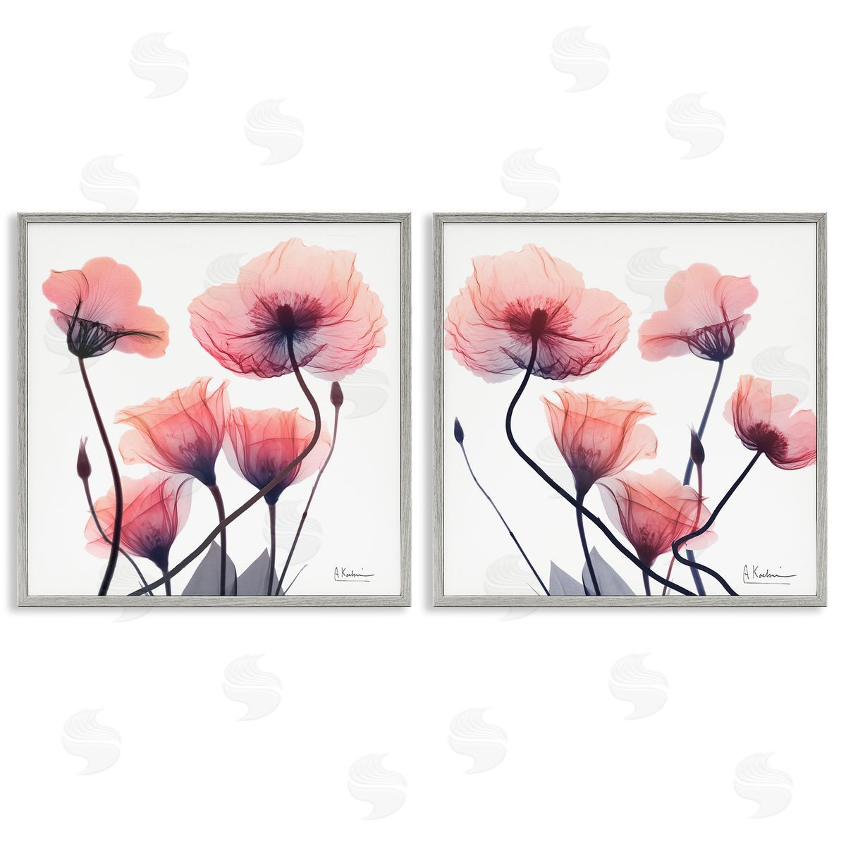 Various Faded Pink Flowers Grey Frame Print Wall Art, Home Decor by Albert Koetsier
