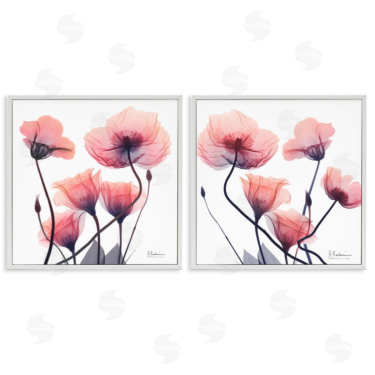 Various Faded Pink Flowers White Frame Print Wall Art, Home Decor by Albert Koetsier