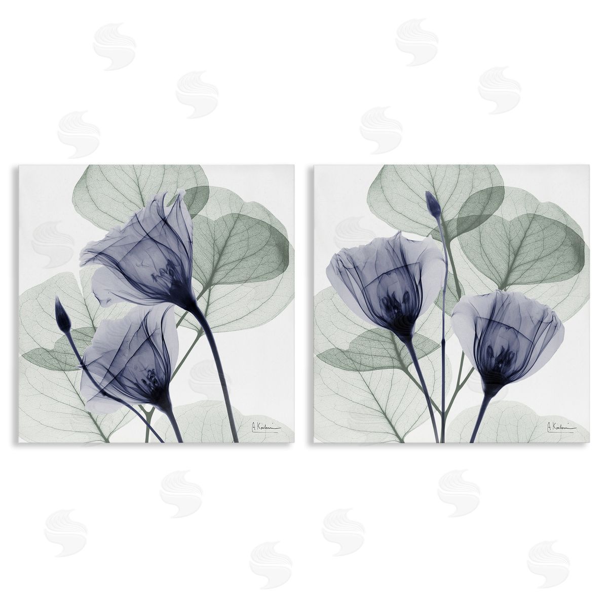 Fading Florals & Herbs Canvas Wall Art, Home Decor by Albert Koetsier