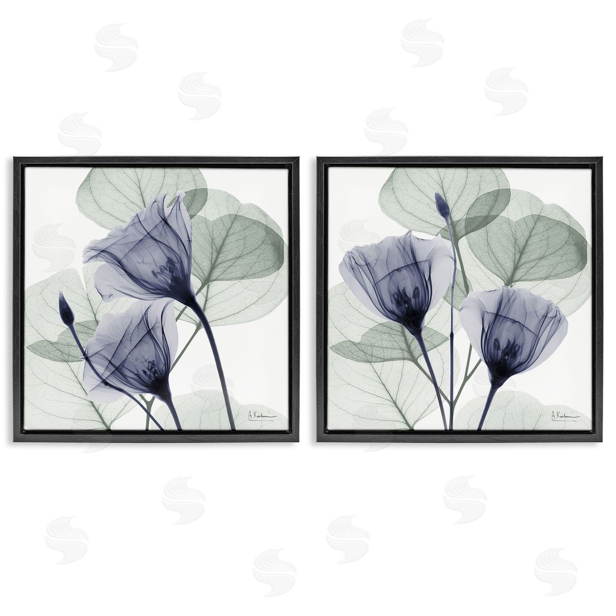 Fading Florals & Herbs Black Floating Frame Canvas Wall Art, Home Decor by Albert Koetsier