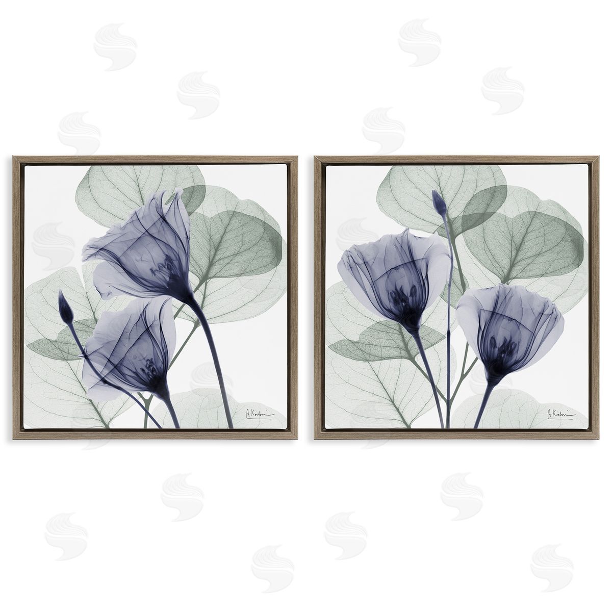 Fading Florals & Herbs Brown Floating Frame Canvas Wall Art, Home Decor by Albert Koetsier