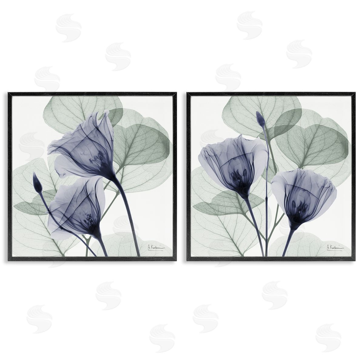 Fading Florals & Herbs Black Frame Print Wall Art, Home Decor by Albert Koetsier