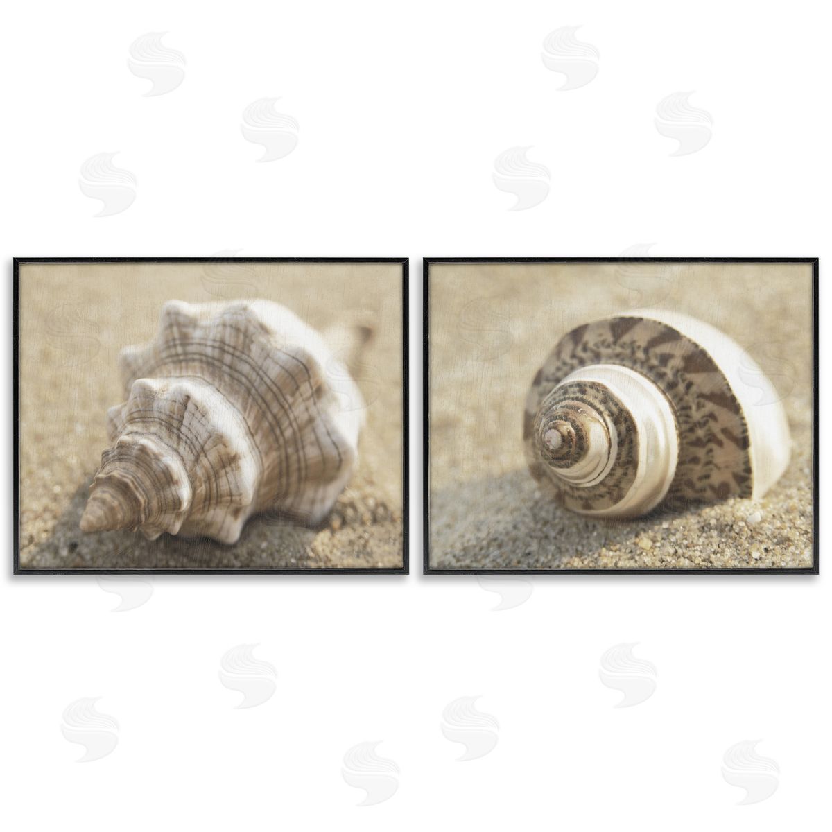 Neutral Tone Sea Life Black Frame Print Wall Art, Home Decor by Dora Rotondella