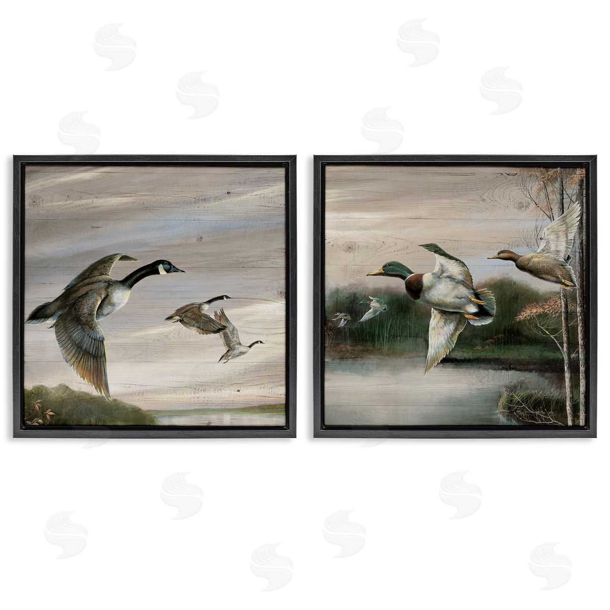 Geese & Ducks in Nature Black Floating Frame Canvas Wall Art, Home Decor by Ruane Manning
