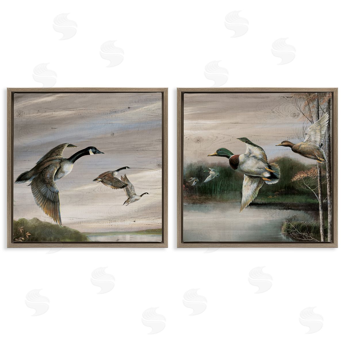 Geese & Ducks in Nature Brown Floating Frame Canvas Wall Art, Home Decor by Ruane Manning