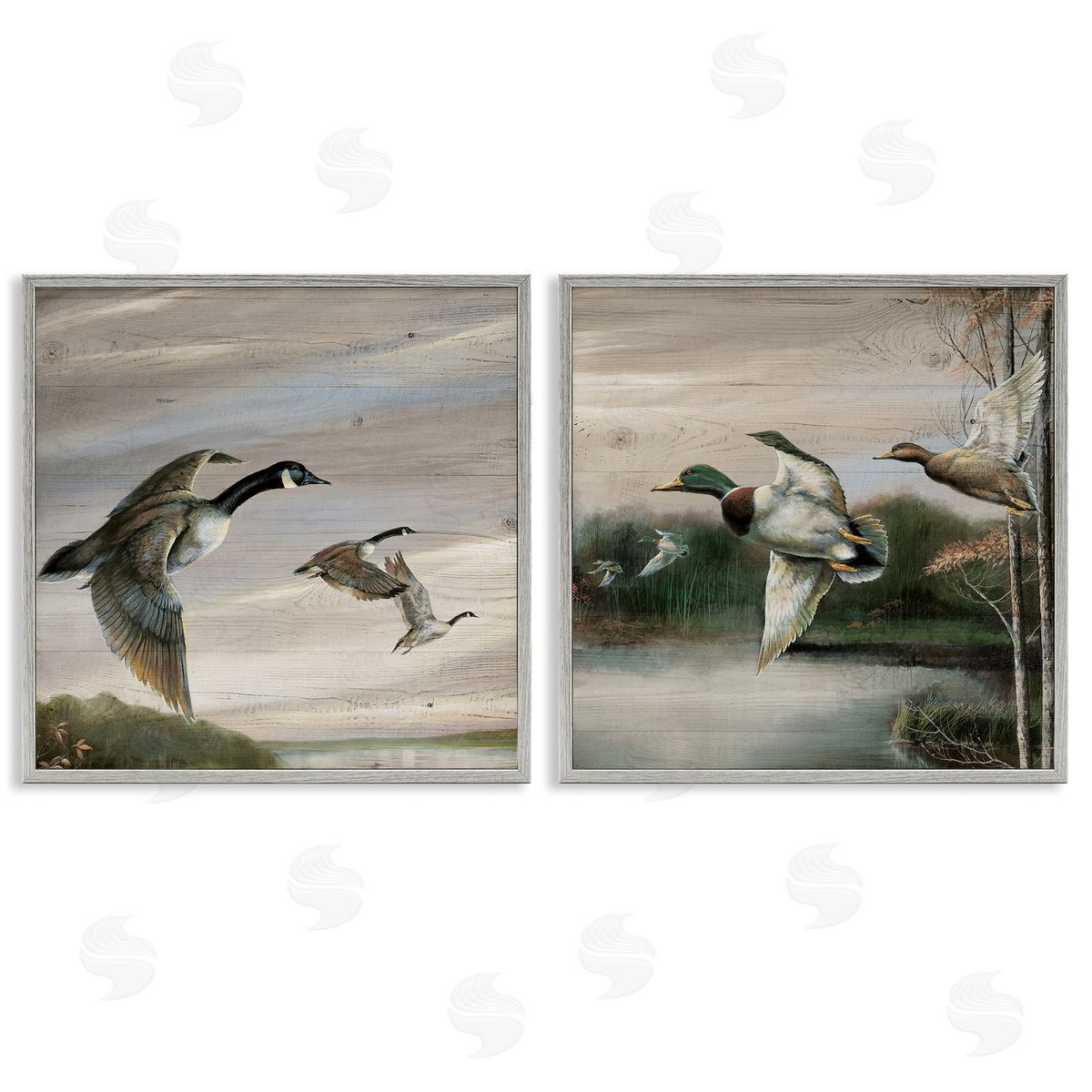 Geese & Ducks in Nature Grey Frame Print Wall Art, Home Decor by Ruane Manning