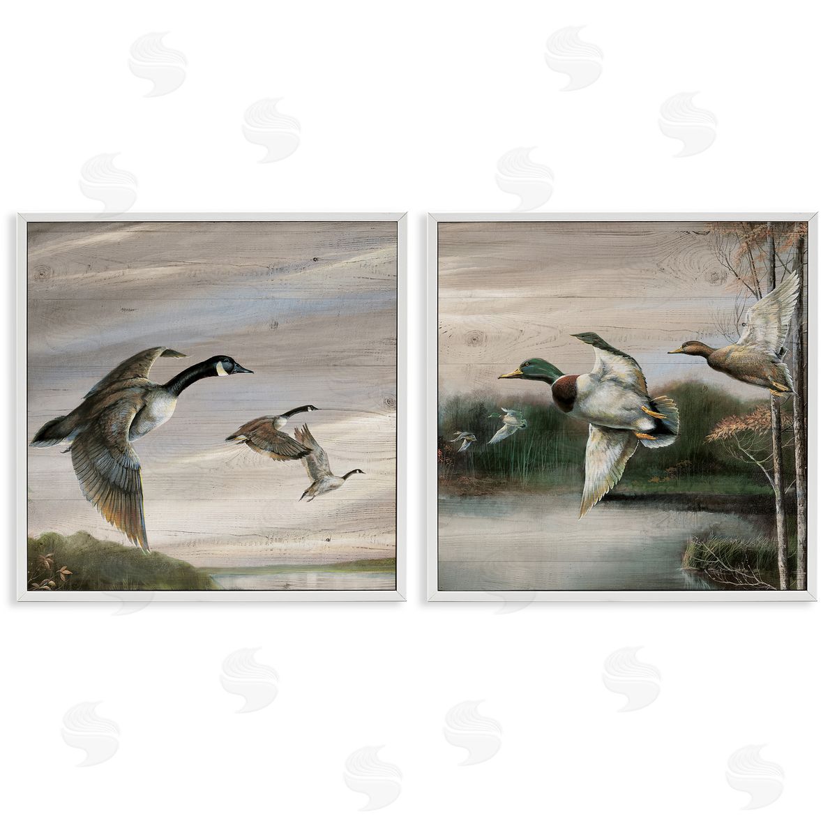 Geese & Ducks in Nature White Frame Print Wall Art, Home Decor by Ruane Manning