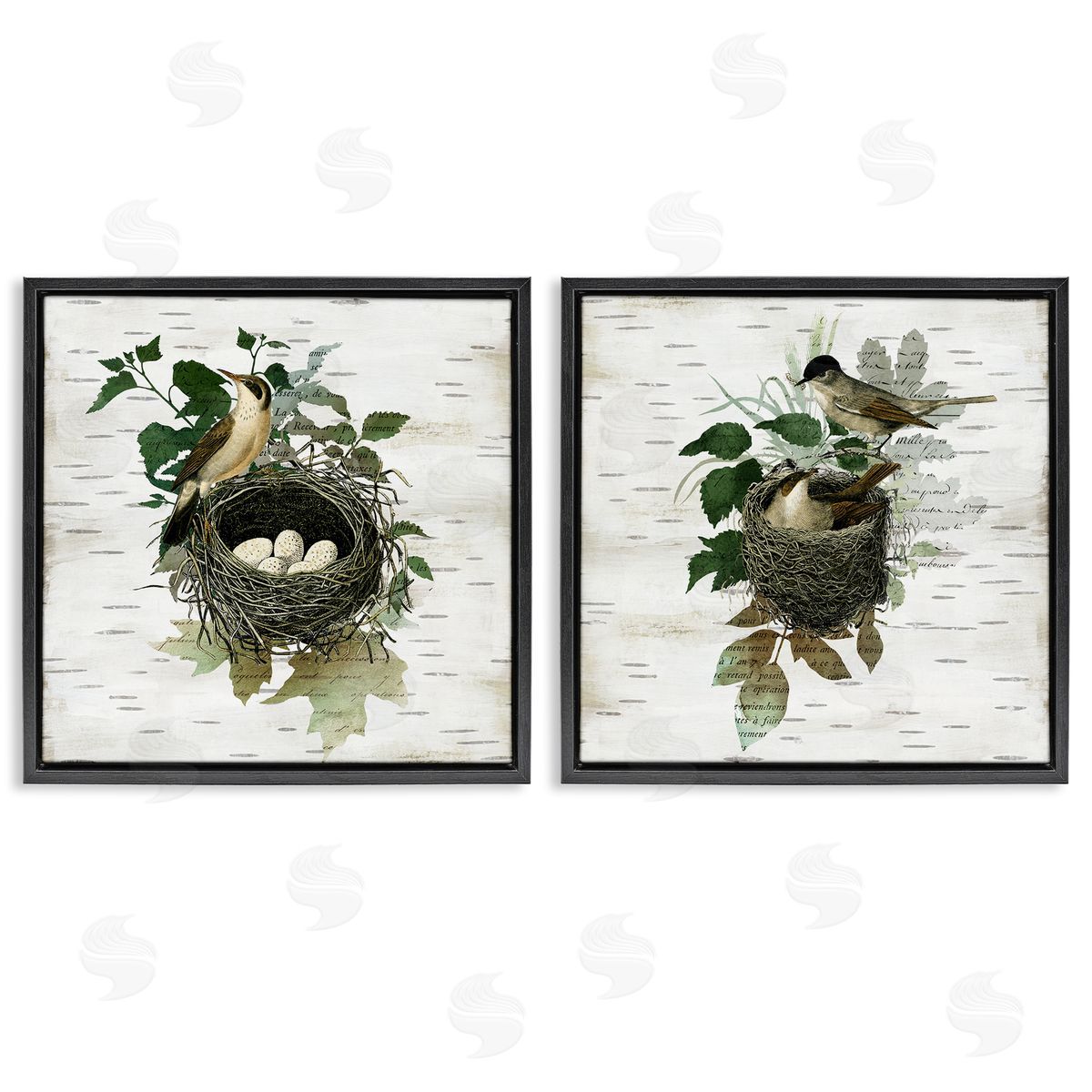 Rustic Vintage Bird Nests Black Floating Frame Canvas Wall Art, Home Decor by Susan Arnot