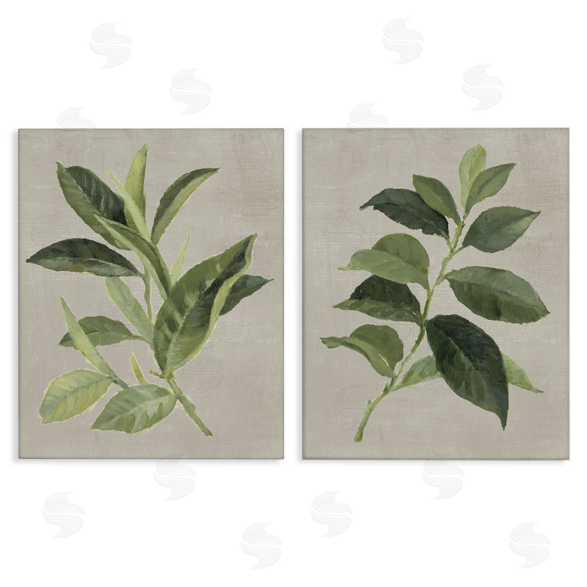 Green Tea & Coffee Plant Leaves Canvas Wall Art, Home Decor by Lanie Loreth