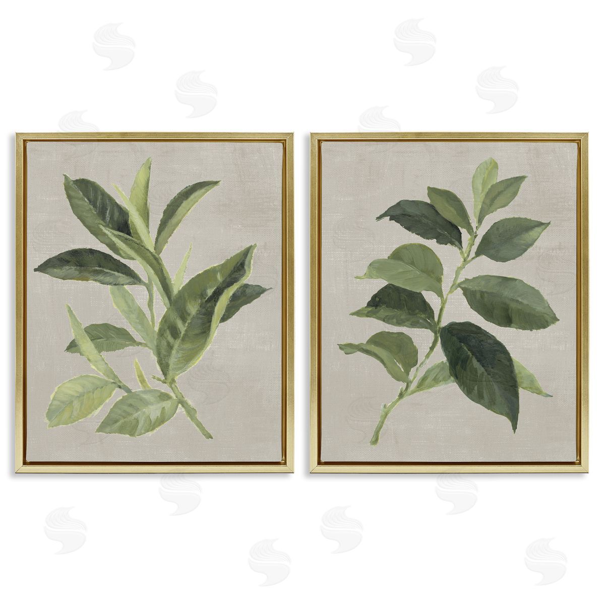 Green Tea & Coffee Plant Leaves Gold Floating Frame Canvas Wall Art, Home Decor by Lanie Loreth