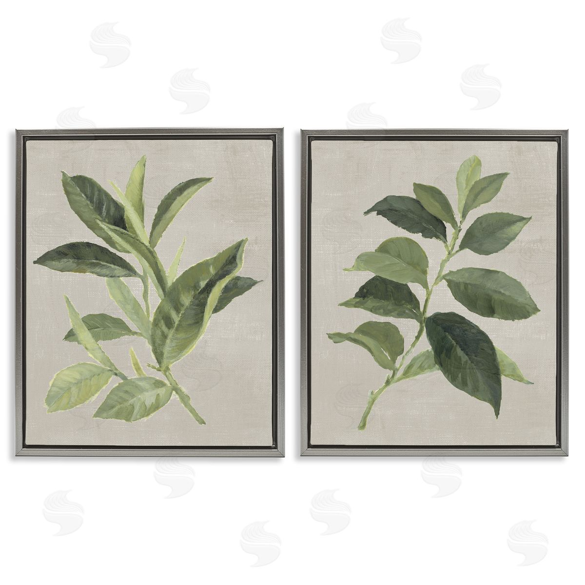 Green Tea & Coffee Plant Leaves Grey Floating Frame Canvas Wall Art, Home Decor by Lanie Loreth